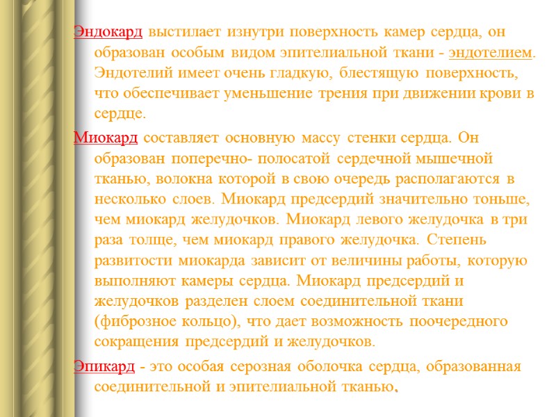 Эндокард выстилает изнутри поверхность камер сердца, он образован особым видом эпителиальной ткани - эндотелием.